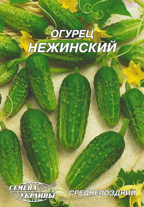 Огірок Ніжинський 10г (ТМ Семена Украины), фото 1