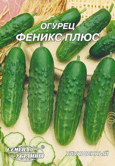 Огірок Фенікс Плюс 10г (ТМ Семена Украины), фото 1