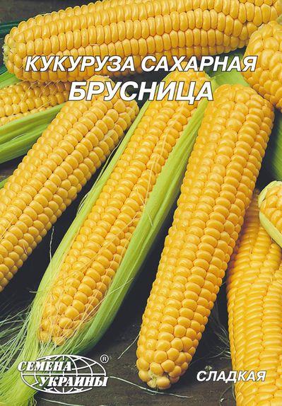 Кукурудза цукрова Брусниця 20г Насіння України, фото 1