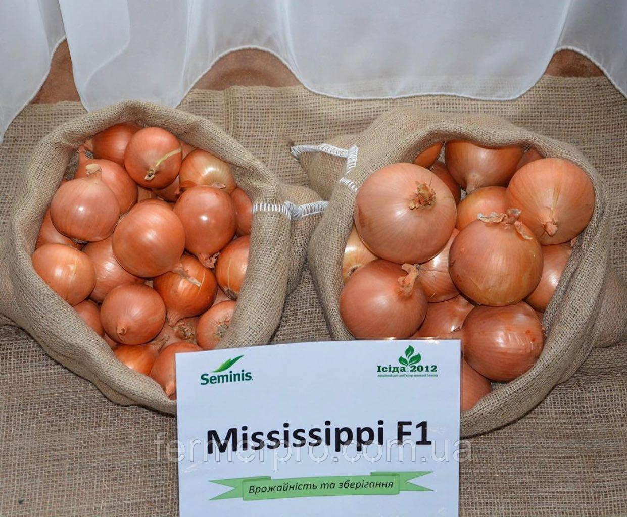 Насіння цибулі Міссіссіппі F1 (Mississipi), 250 000 насіння, Seminis, фото 1