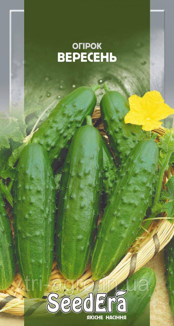 Огірок Вересень 1г (SeedEra)