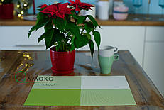 Підкладка-серветка вінілова, килимок для сервірування столу 30х45 см, серветка миюча в кафе і піцерію