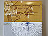 Сатинова постільна білизна полуторна ELWAY 5060 «Квітковий орнамент», фото 5