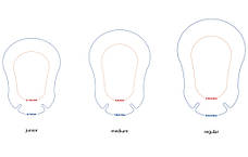 Оклюдер (пластир) для очей Ортопад Medium Фан Пек, фото 3