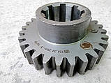 151.37.208-3 Шестерня Т-150 151.37.270-3, фото 3