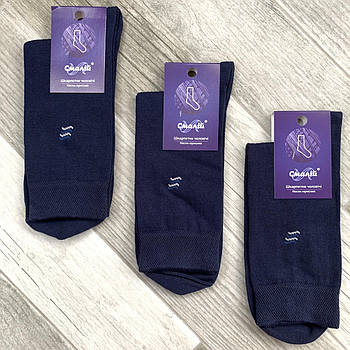 Шкарпетки чоловічі демісезонні бавовна Смалій 15В3-302Д, 25 розмір, темно-сині