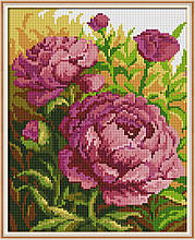 Набір алмазной мозаїки NKF Півонії H0049