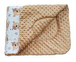 Плюшевий плед Minky Kids 75х85 з подушкою 35х35 капучино (215608-2) DOTINEM Україна, фото 6