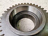Шестірня Т-150 (151Б.37.786-1) z = 36, фото 4