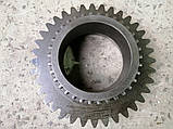 Шестірня Т-150 (151Б.37.786-1) z = 36, фото 5