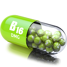Вітамін B16 (DMG, Диметилгліцин)