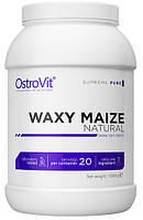 Вуглеводи OstroVit — Waxy Maize (1000 грамів)