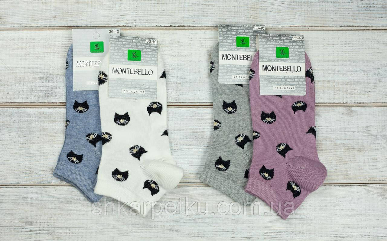 Жіночі шкарпетки сіточка шкарпетки стрейчеві Montebello з малюнком особа кицьки 35-40 12 шт в уп мікс 4 кольорів, фото 1