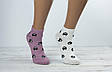 Жіночі шкарпетки сіточка шкарпетки стрейчеві Montebello з малюнком особа кицьки 35-40 12 шт в уп мікс 4 кольорів, фото 3