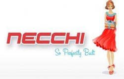 Історія створення та розвитку бренду Necchi