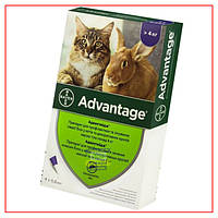 Bayer Адвантейдж 80 - для кошек и котят более 4 кг - №1