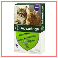 Bayer Адвантейдж 80 - для кошек и котят более 4 кг - №4