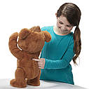 Інтерактивний Ведмежа Кабби / FurReal Friends Cubby Hasbro, фото 5