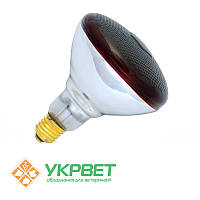 Інфрачервона лампа з товстого скла Bongbada 175 Вт для обігрівання тварин