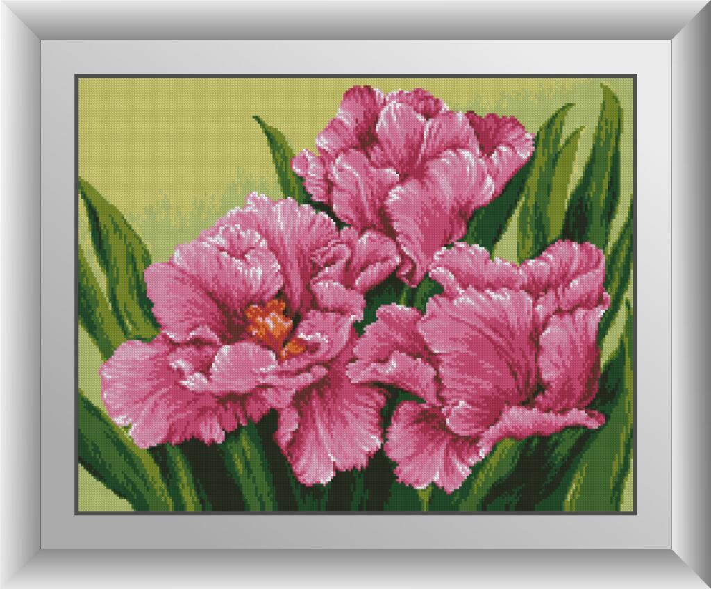 Алмазна мозаїка Краса ірисів Dream Art 30915 (43 x 55 см), фото 1