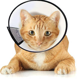 Ветеринарний комір