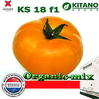 Насіння, томат великоплідний жовтогарячий Айсан KS 18 F1 ТМ "Kitano Seeds" (500 насіння)