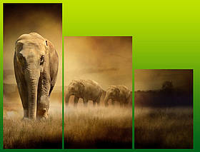 Модульна картина "Слон"