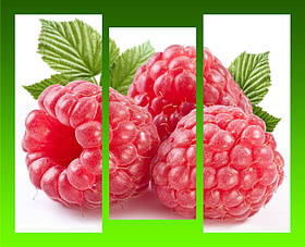 Модульна картина "Малина"