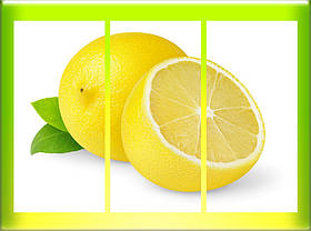 Модульна картина "Лимон"
