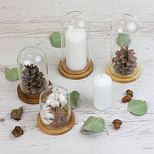 Стеклянный колпак для декора d-90 mm h-165 mm на деревянной подставке