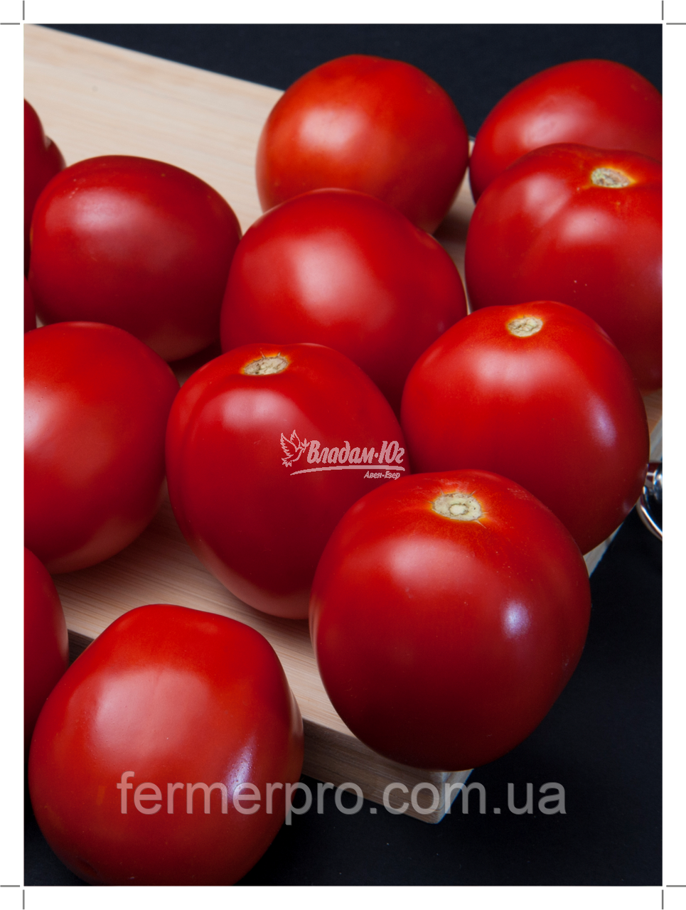 Насіння томату Баста 1000 насіння Clause