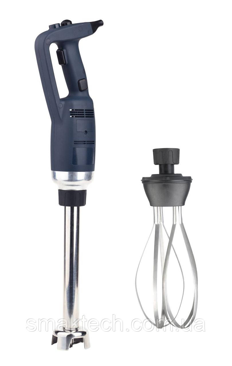 Міксер (гомогенізатор) ручний занурювальний GoodFood BL250VW Combi, фото 1