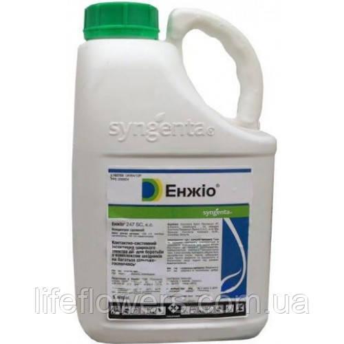 Інсектицид Енжіо 5л