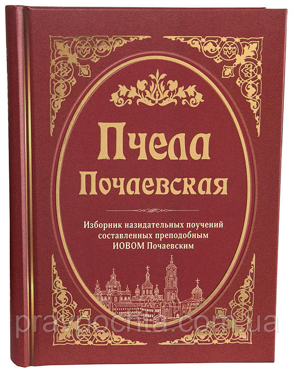 Пчола Почаївська. Преподобний Іов Почаївський