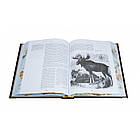 Книга подарункова Російське полювання Сабанєєв, фото 6