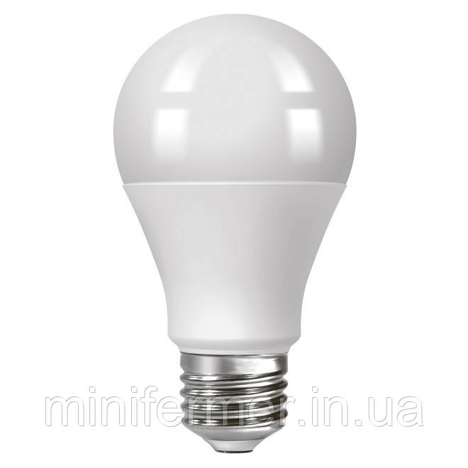 LED-лампа для освітлення пташенят у брудері Prime 4W, фото 1