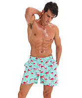 Мужские шорты с фламинго Escatch Голубой