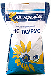 Насіння соняшнику Таурус Стандарт Юа Агролідер, фото 2