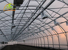 Теплиці промислові "Западенські"