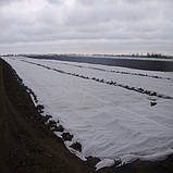 Агроволокно біла щільність 40 г/м2. (3,2х100 м), фото 10