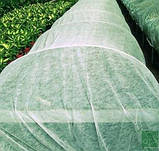 Агроволокно біла щільність 60 г/м2. (3.2х100 м), фото 4