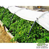 Агроволокно біла щільність 50 г/м2. (1.6х100м), фото 8