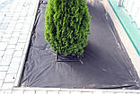 Агроволокно чорне щільність 60 г/м2 (3.2х100 м), фото 6