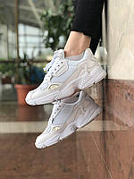 Adidas falcon sn00 sales