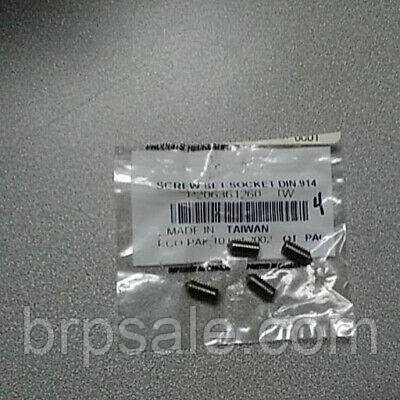 Болт Sea-Doo BRP SCREW-SET SOCKET DIN.914A2