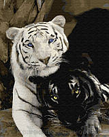 Картина по номерам Brushme 40х50 Пара тигров (GX29792)