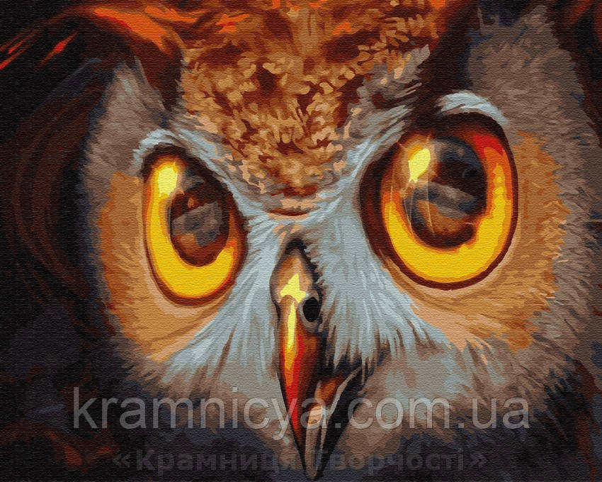 Картина за номерами Brushme 40х50 Погляд сови (GX30086)