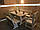 Holztisch 1200x800 mm aus Naturholz für Cafés und Hütten vom Hersteller. Holztisch 04, фото 6