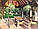 Holztisch 1200x800 mm aus Naturholz für Cafés und Hütten vom Hersteller. Holztisch 04, фото 9