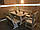 Дерев'яний стіл 1100х800 мм під старовину ручної роботи для кафе, дачі від виробника. Wood Table 03, фото 7